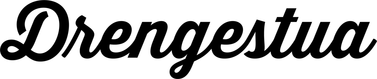 logo Drengestua